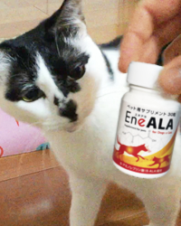 エネアラ（ENeALA）【公式】ペット（犬・猫）用 5-ALA配合サプリメント