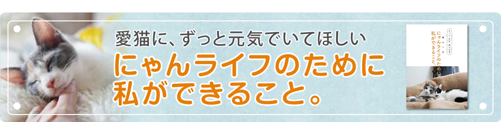 にゃんライフのために私ができること